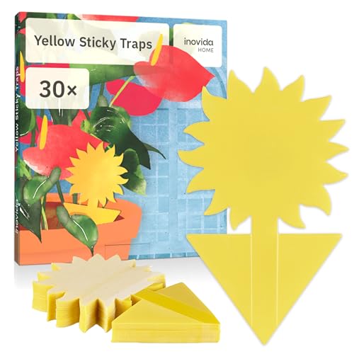 Fungus Gnat Sticky Traps : 30 Yellow Fly Sticky Traps for House Plants – Insecticide Free House Plant Stickers – Fruit Fly Catcher – Insect Catcher Control Indoor by Inovida