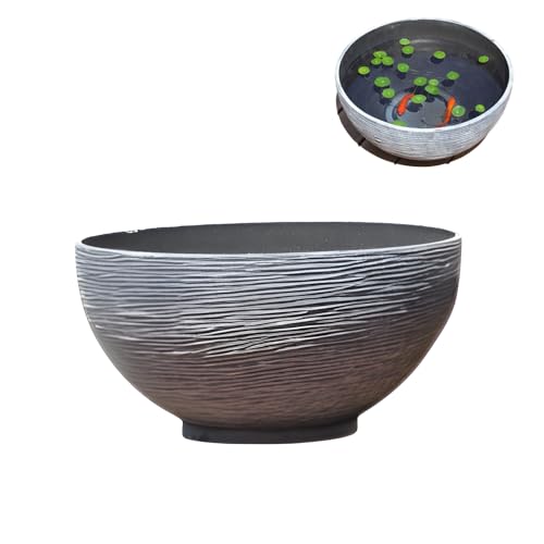 [starrycoo]_J  @ ی^  e   ϗtA 琅 Oe A͔| ԕr | }CNiϕi