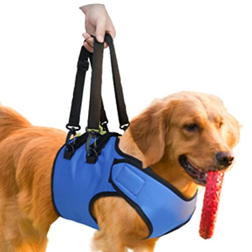 nikkai؁j n[lX O⏕sn[lX O sT|[g xXg Vv ߉\ y (L)