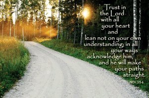 Pass It On Message Cards...Trust in the Lord... Package of 25