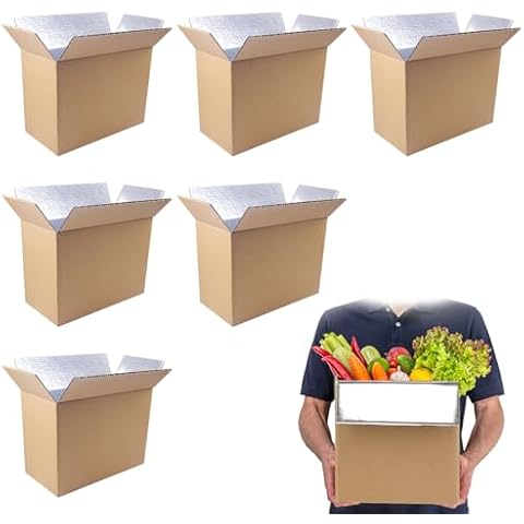 6 Pack Insulated Shipping Box for Shipping Frozen Food Cold Shipping Boxes Large Foil Cooler Carton Moving Kits for Mailing Packing (Box Size 11 x 6.1 x 7.1 Inch) Cover