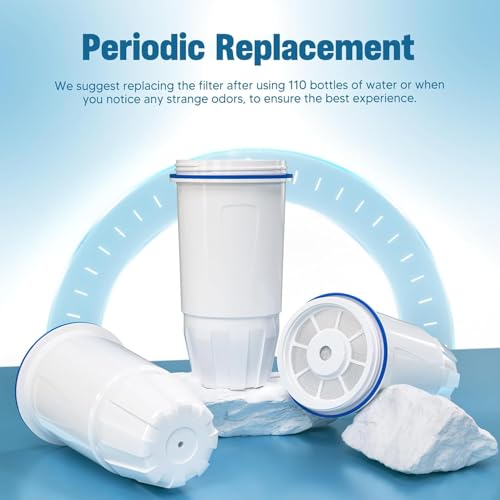 Maintenance Tips for Water Filters
