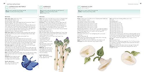 100 Flowers to Knit & Crochet: A collection of beautiful blooms for embellishing clothes, accessories, cushionsand throws - Image 11