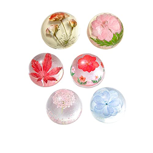 Ptgmh 6 Pcs Flower Resin Paper Weights For Office Pressed Flower Paper Weights Decorative Handmade Semicircle Paperweight For Desk Ornament (Colorful) #TOP6