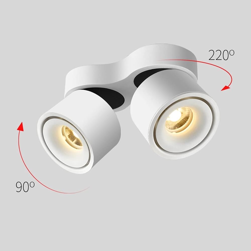 Ceiling Spotlight Fixture, 2-Light Flush Mount Track Fixture Wall Lamp Directional for Kitchen, Bedroom, Dining Room, Office, Black, 24W 360°Adjustable Rotatable Double Head Downlight/White/