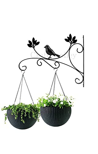 Craftr Deco Hanging Wall Bracket Hanger Modern Design Plant Hooks for Garden Balcony Home Kitchen Office Corridor. (Black) (B09FK5Z56L) Amazon Price History, Amazon Price Tracker
