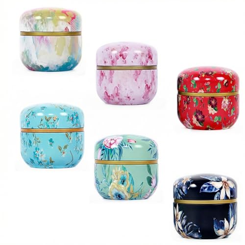 HAN SHENG 6Pcs Airtight Tea Storage Tins Vintage Food Canister Set