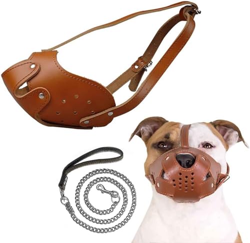 SUNCN p}Y U[p}Y [ht Jo[ t`EuhbOEV[Y[EpOEZ@ ݂A݂Aʖih~ M