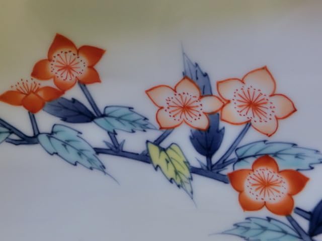 Amazon.co.jp: 鍋島焼 七代 小笠原藤右衛門 絵皿 飾り皿 盛皿 盛鉢共箱