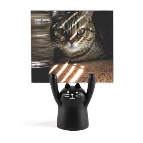 ̔L̎ʐ^Bě J[gD[LX^h^z_[