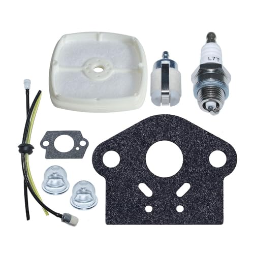 Filtre à carburant pour GT-200i et SRM-210 | Pièce d'entretien