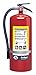 Fire Extinguisher, Plated Brass, 20 lb.