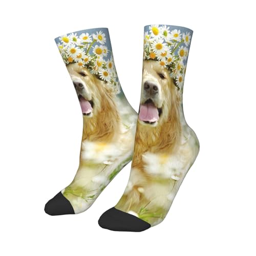 Cane Corso Dog Kids Socks 6-10 Years Old Lightweight Non-Slip Children Crew Socks2