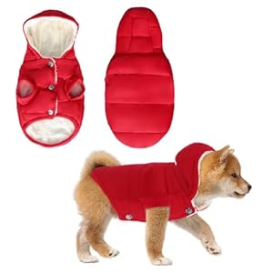 Dog Coats for Small Dogs 3 Layers Wool and Cotton-Lined Warm Dog Jackets for Small Dogs Dog Fleece with Hoodie for Cold Weather Windproof