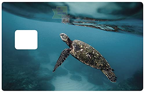 Sticker pour carte bancaire, format US, Tortue Marine- Différenciez et décorez votre carte bancaire suivant vos envies!! Cover