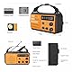 Tragbarer Solarradio Kurbelradio mit 3 Lademöglichkeiten, 8000 mAh Powerbank, AM/FM-Radio, SOS-Alarm, Taschenlampe Notfallradio für Outdoor Abenteuer und Notfälle