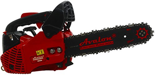 Motosierra de poda Avalon Xtreme Pro GC-2500 25 c.c 250 mm