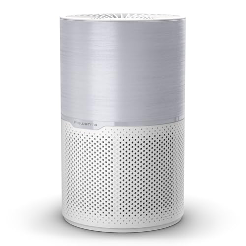 Rowenta Pure Air Compact, Purificateur d'air intérieur, Purification de l'air très efficace, Rapide, Confort accru, PU2220F0,...
