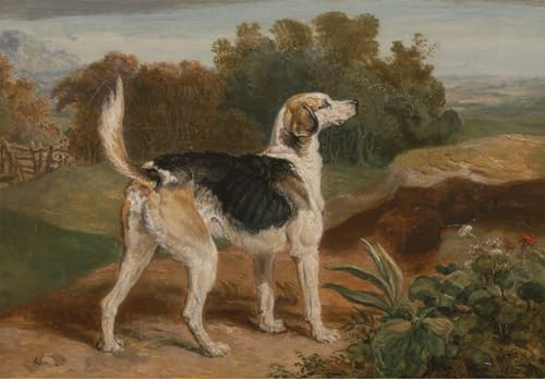 Impression tableaux Ravager One of the Lambton Hounds peinture poster art mural en toile