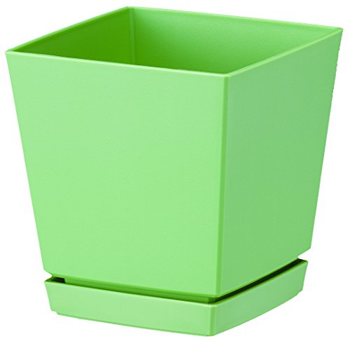 大和プラスチック クエンチローポット 5号 アッシュグリーン