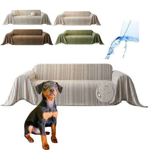 Lifetips ~j`AsV[iMiniature Pinscherj \t@[Jo[ k  􂦂 h }`Jo[ 2l| 3l| It IȂ ~ Eh~ LΉ lGʗp iubNj i300180CM