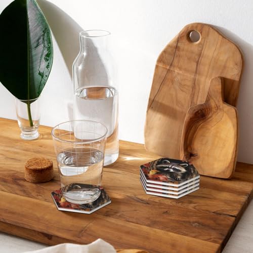 Dessous de verre céramique absorbant anti tache table basse raton laveur - 8