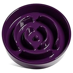 Maze Purple