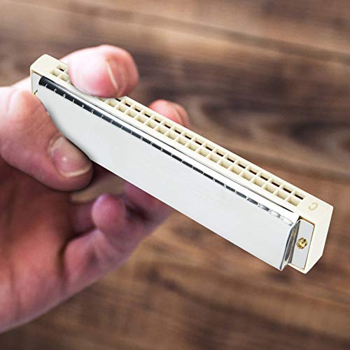 HOLPPO Orgue À Bouche Professionnel,Harmonica Étanche À Vis en Acier Inoxydable,Plaque Couverture en Acier Inoxydable… - Les Beatles, Paul McCartney, John Lennon, RIngo Starr, George Harrison HOLPPO Orgue À Bouche Professionnel,Harmonica Étanche À Vis en Acier Inoxydable,Plaque Couverture en Acier Inoxydable… – Image 5