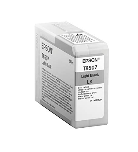 Epson C13T850700 T850700 Cartuccia Inkjet, Nero Luce