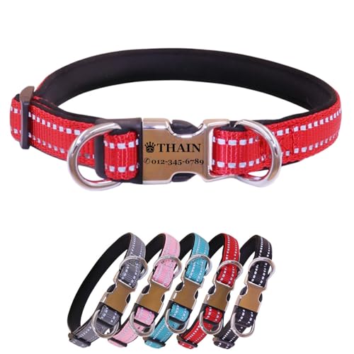 THAIN   qD  [U[   l[v[g I[_[Ch ߉\ (, XS)