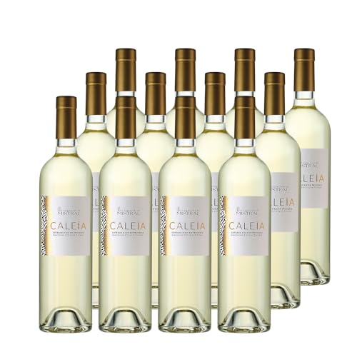 Vino Coteaux d’Aix-en-Provence Caleïa Blanco 2023 – Vermentino y Ugni Blanc – DOP Provenza Vino Coteaux d’Aix-en-Provence Caleïa Blanco 2023 – Vermentino y Ugni Blanc – DOP Provenza
