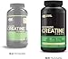 Optimum Nutrition Micronized Creatine Powder, Unflavored, 10.58 oz (300 g)