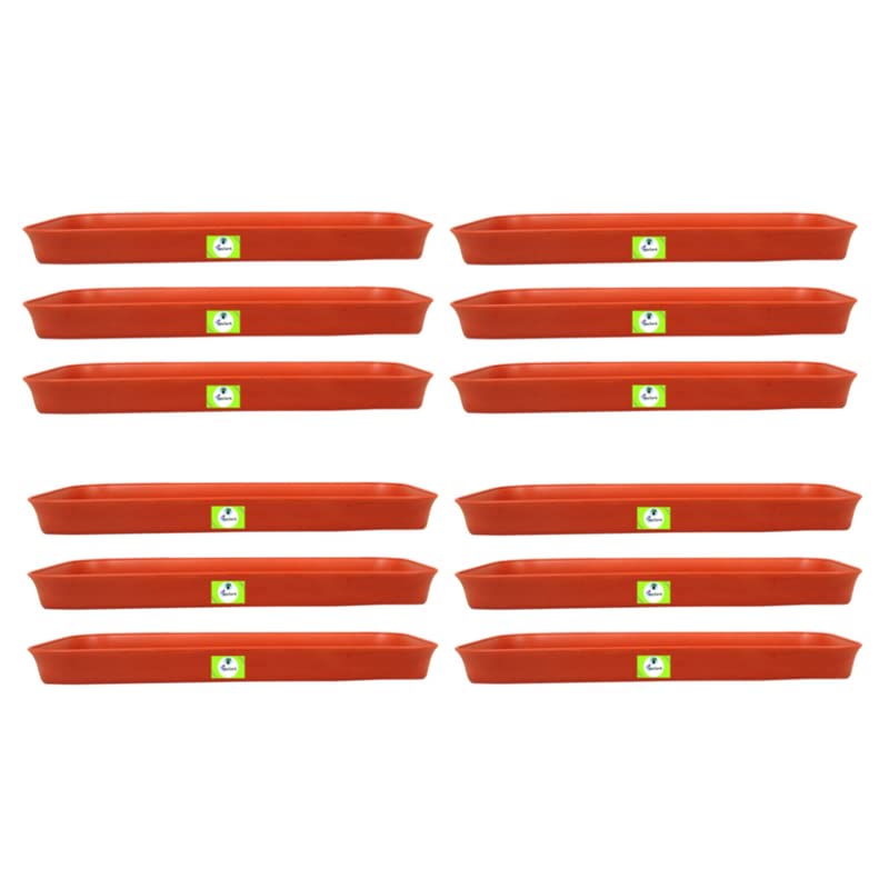 Garden Plant Saucers - Pack of 12 -1 Garden Plant Saucers - Pack of 12 -1