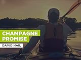 nail nail bergamo porta nuova numero  Champagne Promise nello stile di David Nail
