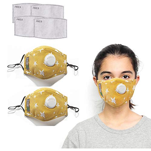 2Pcs Cartoon Cotton Reusable Dustproof with Carbon Filter Sheet for Children Kids【3 Layers】 (2pcs, Yellow)