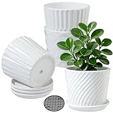 Plant Pots - 5.5 Inch Cylinder Ceramic Planters with Connected Saucer, Pots for Succuelnt and Little Snake Plants, Set of 4, White