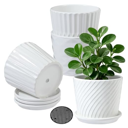 sietpoek Plant Pots - 5.5 Inch Cylinder Ceramic Planters with Connected Saucer, Pots for Succuelnt and Little Snake Plants, Set of 4, White