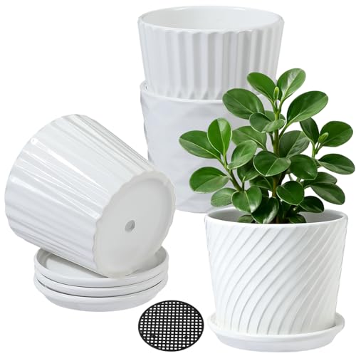 sietpoek Plant Pots - 5.5 Inch Cylinder Ceramic Planters with Connected Saucer, Pots for Succuelnt and Little Snake Plants, Set of 4, White