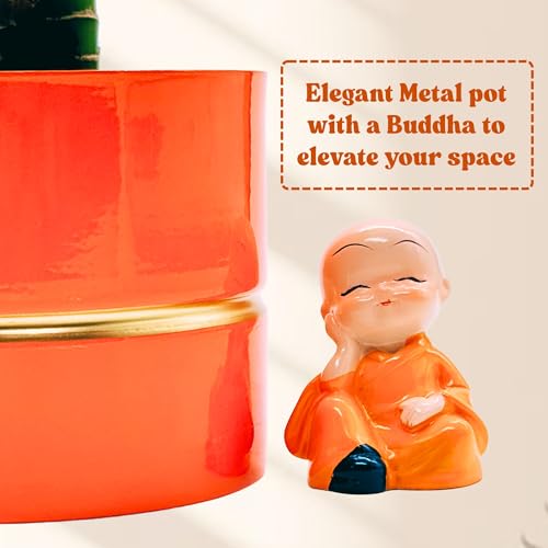 Image of Amulya Farms Live Lucky Bamboo Wheel plant in Ornage Metal Pot With Budha | Indoor Plants for home decoration | Ideal for Living room, Balcony, Office desk & Kitchen | Lucky Vastu Plant |
