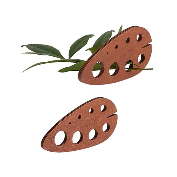 PH PandaHall 2pcs Teardrop Wooden Herb Stripper 8 Holes Herb Pealer Wood Leaf Remover Herb Stripping Brown Herb Stripper Tool for Kitchen Gadgets Cooking Small Kitchen Appliances Chef, Hole: 2-16mm