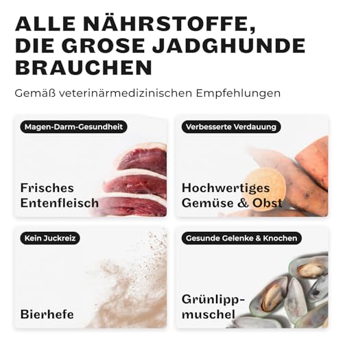 HEY HOLY Premium Nassfutter für große Jagdhunde 100% getreidefrei | 6X 400g Hundefutter für ausgewachsene große Jagdhunde mit Ente | Hochverträglich aus natürlichen Zutaten