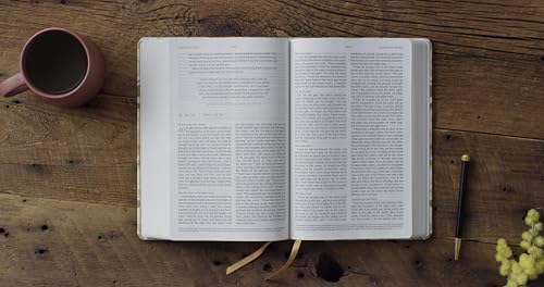 ESV Everyday Gospel Bible, Artist Series: Connecting Scripture to All of Life (Cloth over Board, Lulie Wallace, Grier) - image 3