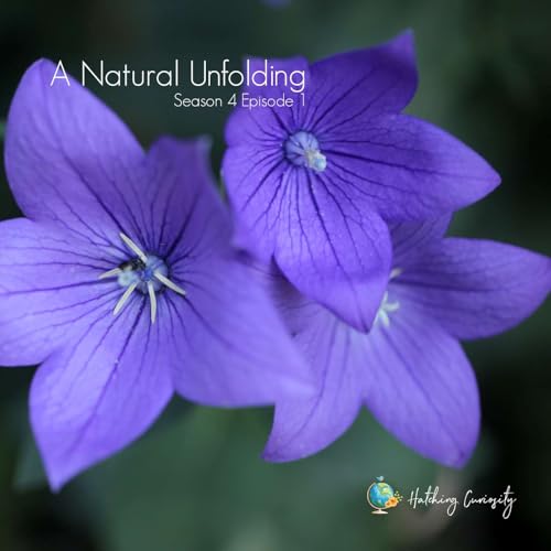 A Natural Unfolding