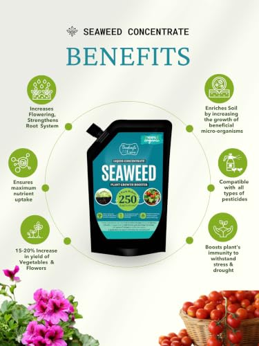 Image of Bombay Greens Organic Seaweed Liquid Booster Home garden, Flowers, Vegetables, Fruits, Herbs | Seaweed for flowering plants and all Outdoor Plants - 250 ml