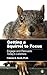 Getting a Squirrel to Focus: Engage and Persuade Today's Listener