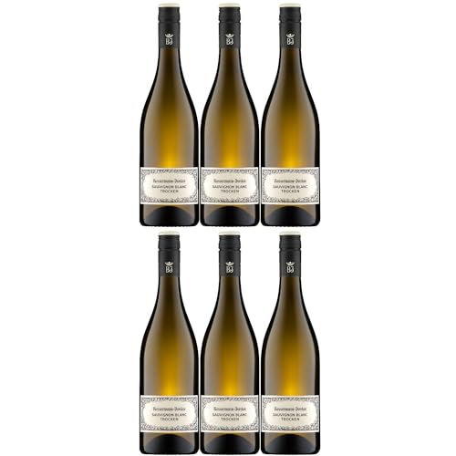 Bassermann-Jordan Sauvignon Blanc Weisswein Wein Trocken Pfalz Deutschland Inkl. FeinWert E-Book (6 x 0,75l)