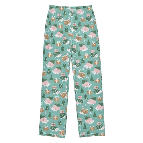 ZZXXB Merry Christmas Hedgehog Gift Boys Long Pants Soft Trousers Elastic Waist Kids Lounge Bottoms with Pockets S-XL