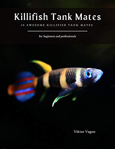 Killifish Tank Mates: 10 Awesome Killifish Tank Mates