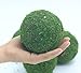 Nice purchase Handmade Natural Green Plant Moss Balls Decorative for Home Party Display Decor Props (4 in)