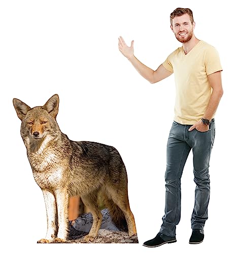 Image of Cardboard People Coyote Life Size Cardboard Cutout Standup - Made in USA